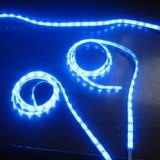 blue-strip